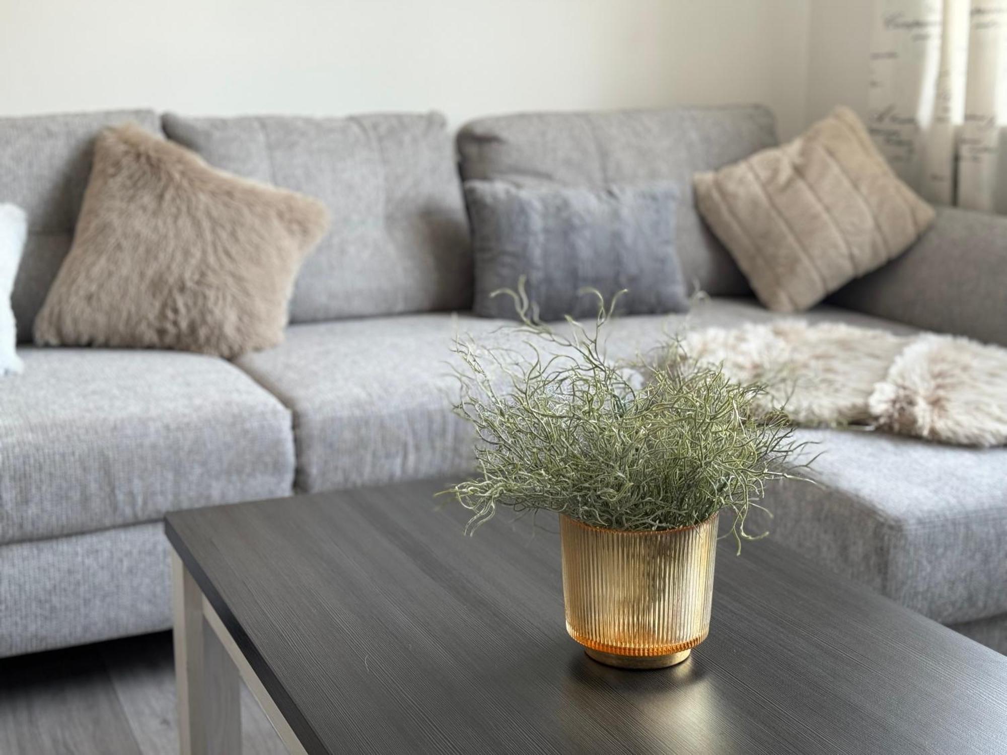 Apartment Moervig